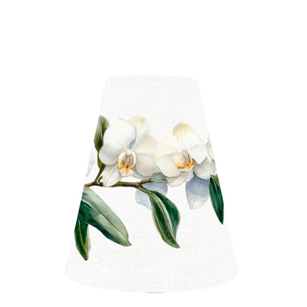 Cúpula de Papel Orquídea Branco 12cm 6pçs