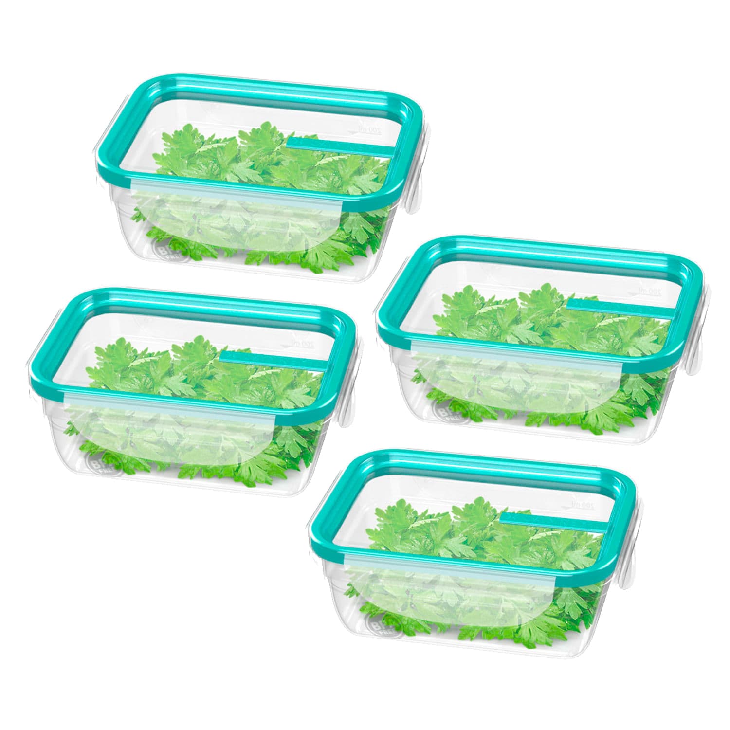 Kit Com 4 Potes de Plástico Retangular Fresh 330mL Verde - Sanremo