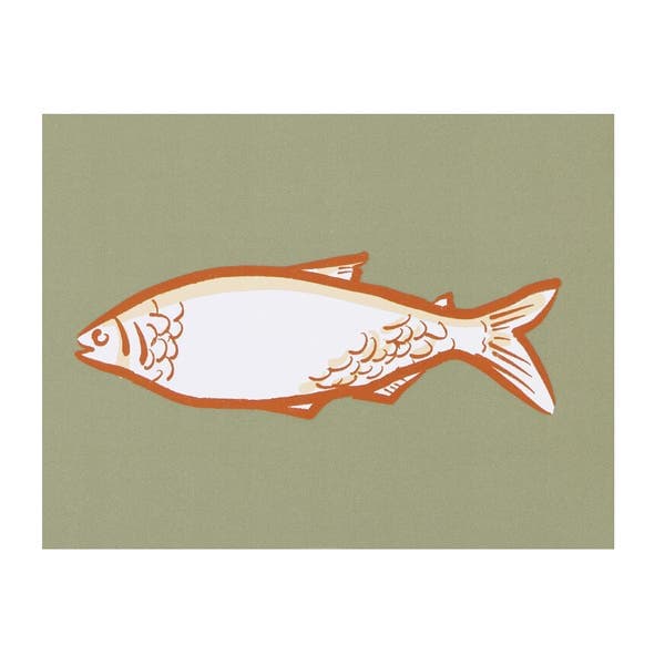 Poster Peixe 30x40cm Encantos do Nordeste Raiana Britto