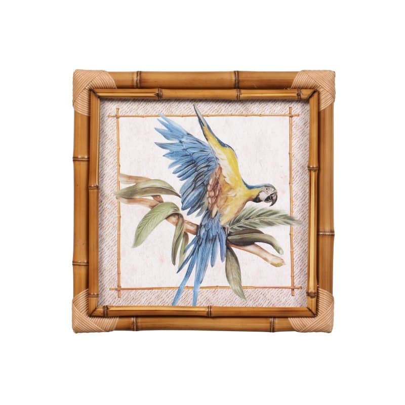Quadro Bambu Tropical Birds Arara Maison Blanche 35 x 35 cm