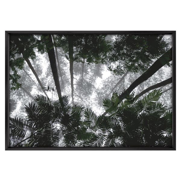 Quadro Decorativo Floresta Colorido com Vidro 100x70x3,5cm Tropical