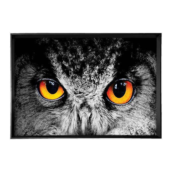 Quadro Olhos de Coruja Preto com Vidro 70x100cm Arte Própria