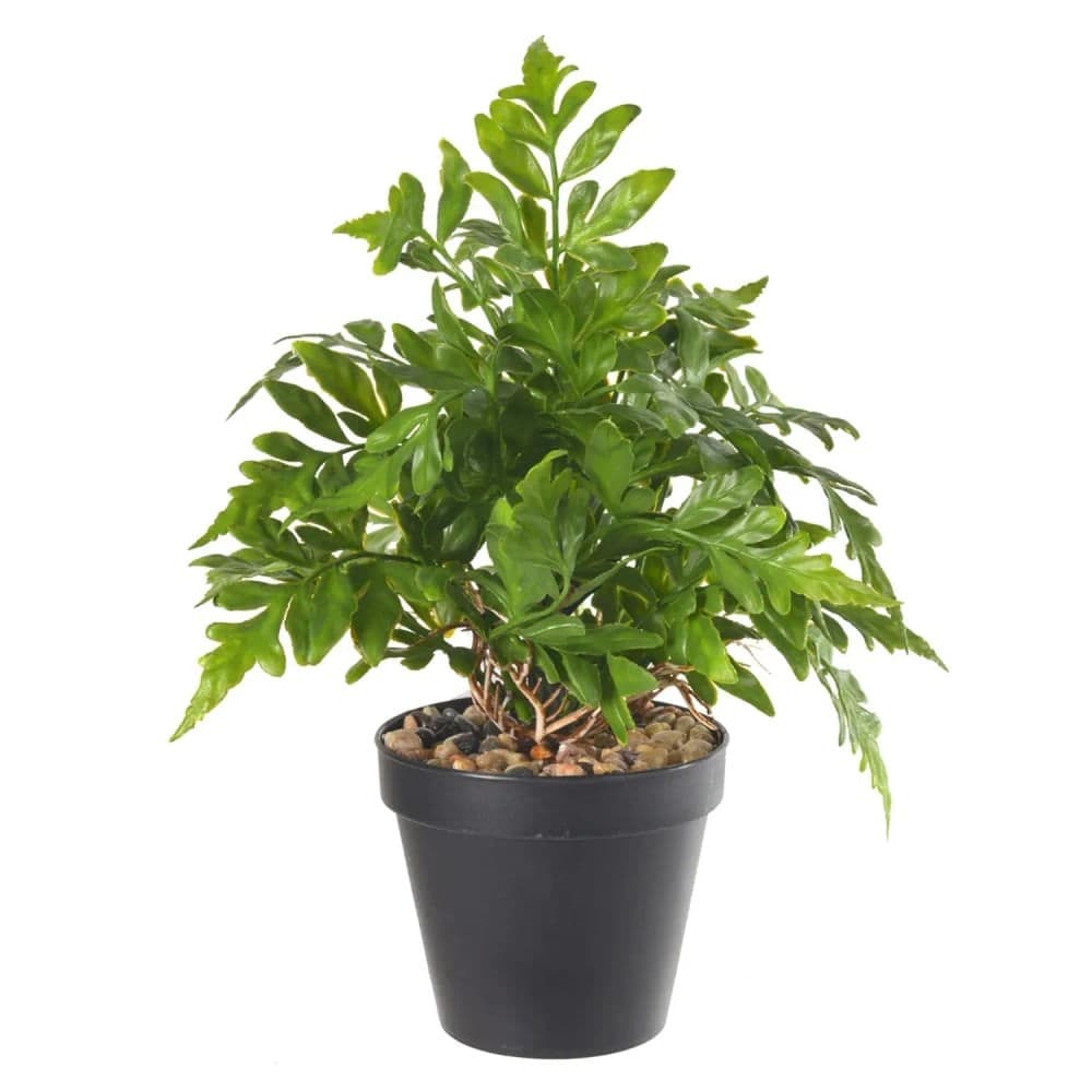 Arranjo Folhas Samambaia 22cm Verde - Florarte