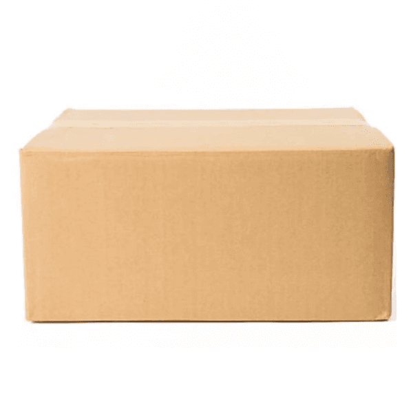 Caixa de Papelão Maleta 29x25x17cm Bege Target