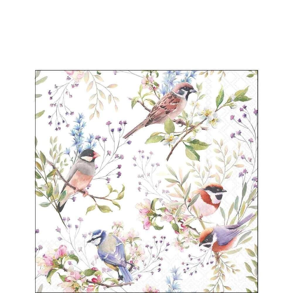 Guardanapo Papel 25x25 Busy Birds - Ambiente