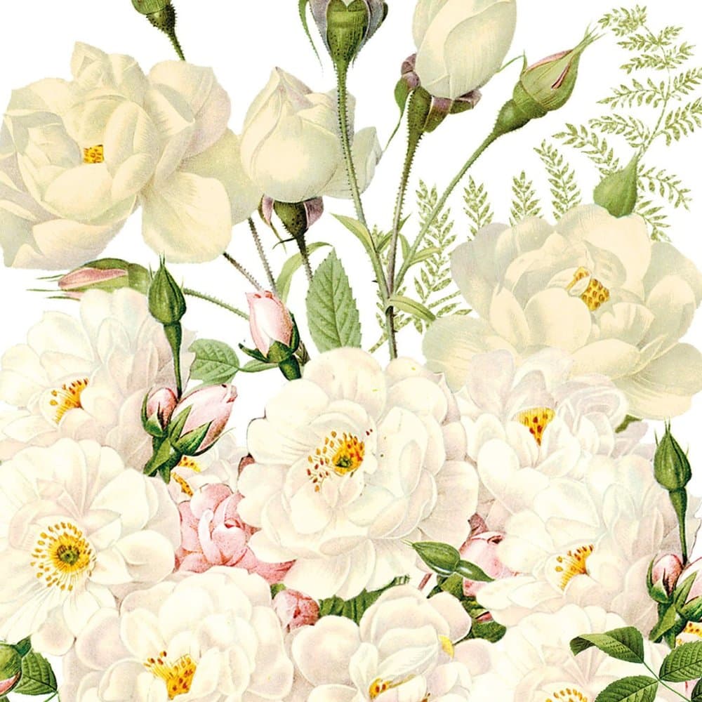 Guardanapo Papel Roses Blancs 33x33 20 Folhas - Ambiente