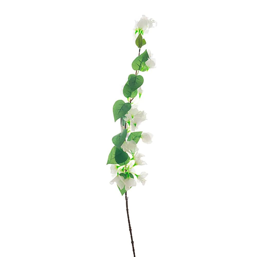Haste Bougainvillea Branca 78cm - Bela Flor