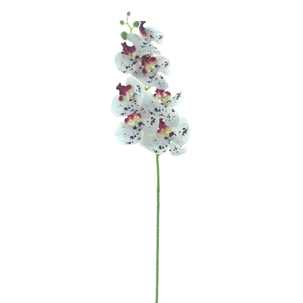Haste Orquídea Branca 7 Flores 97cm - Bela Flor