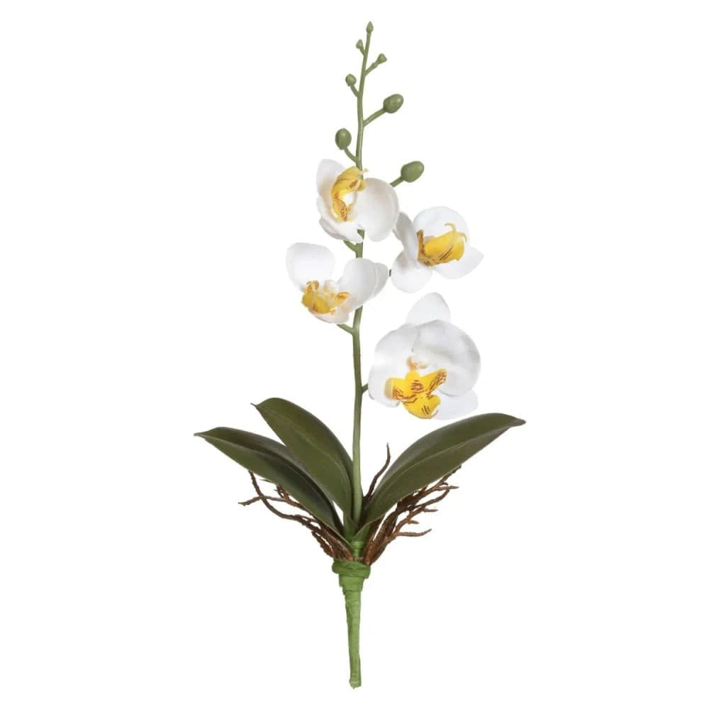 Haste Orquídea Phalaenopsis com Folha 29cm Branco Amarelo - Florarte