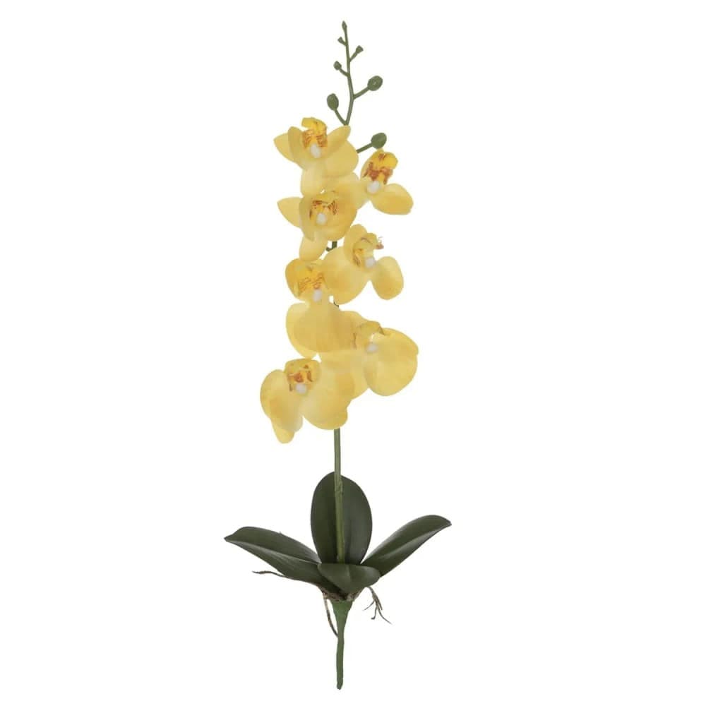 Haste Orquídea Phalaenopsis com Folha 45cm Amarelo - Florarte