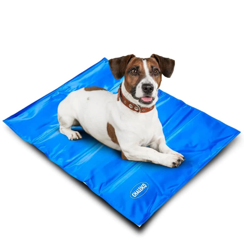 Tapete Gelado para Cães 60x90cm Azul - Chalesco