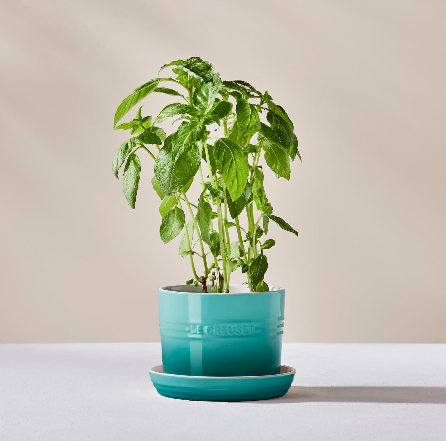 Vaso para Ervas com Bandeja Le Creuset Bleu Riviera 14 cm